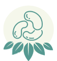 Legumes