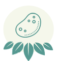poteto